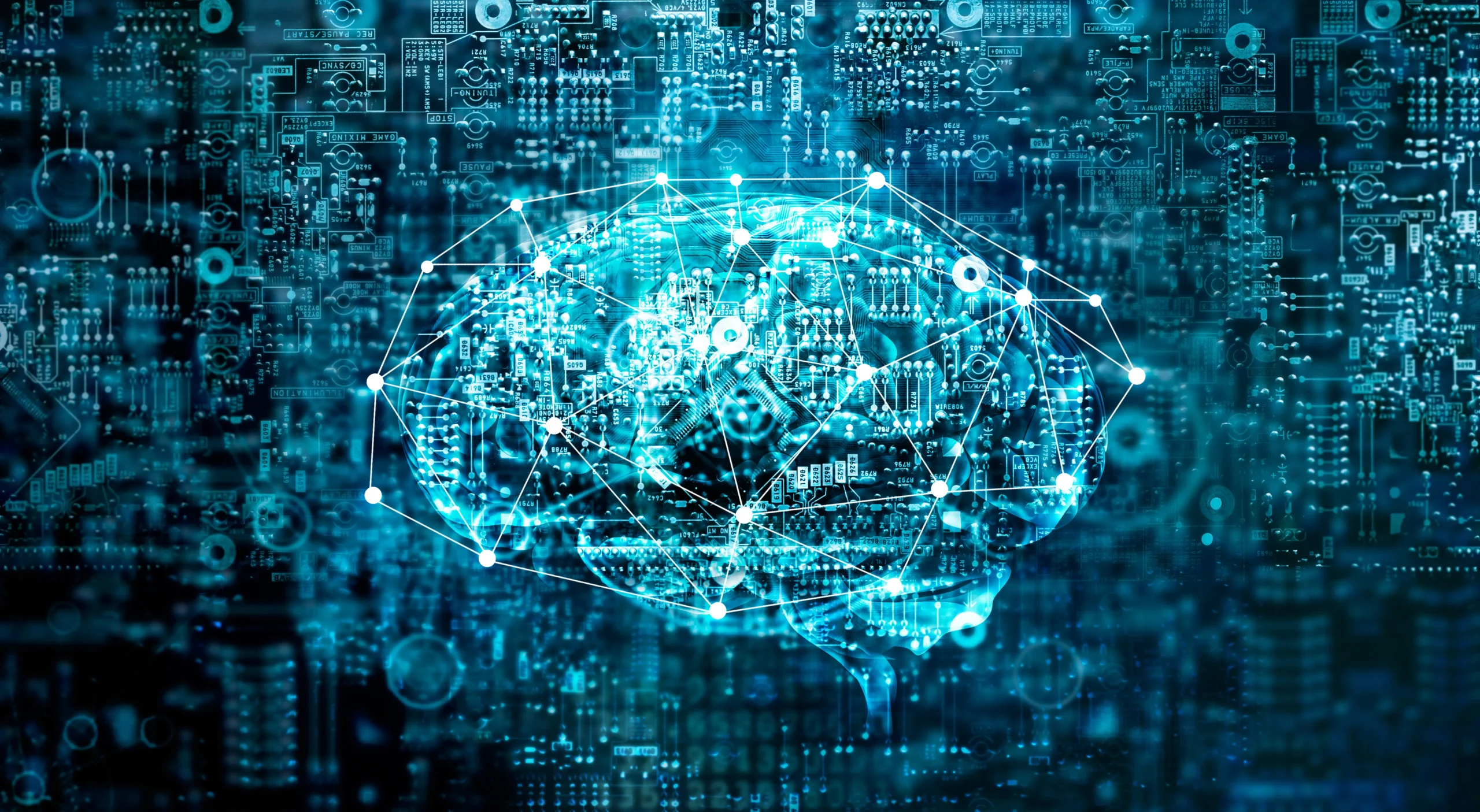 Elon Musk Calls for AI Labs and Chinese Firms to Test